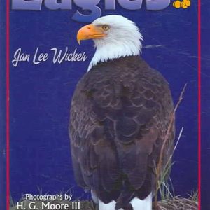 Those Excellent Eagles Book