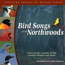 Bird Songs of the Northwoods CD