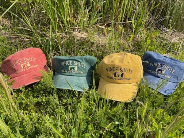 Embroidered Canvas Hats