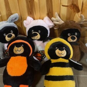 Costume Bears